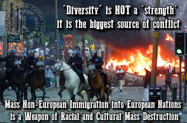 diversity not strength conflict source non-European immigration Europe weapon race culture mass destruction