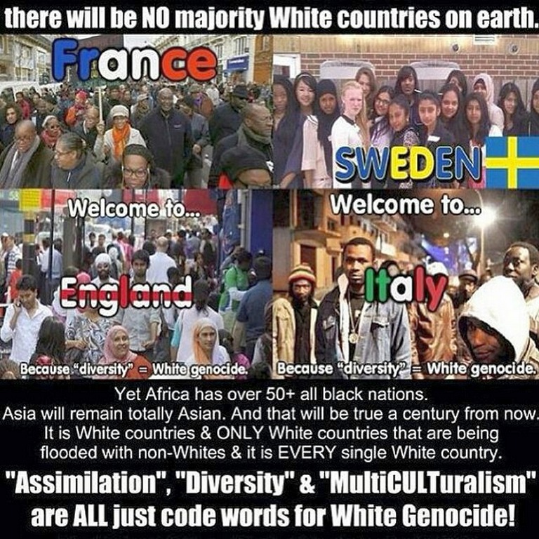 White genocide assimilation diversity multiculturalism Europe Western countries